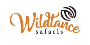 Wildlance safaris